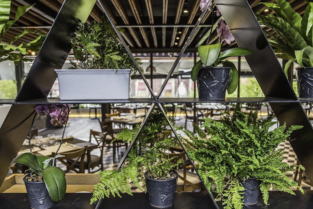 Domingo Santo Hotel Boutique (Adults Only) Mexico City Exteriör bild